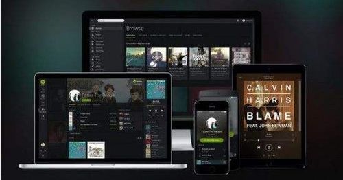 请问什么是什么是流媒体？