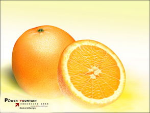 在大橙子网络这家网站建设公司做网站怎么样？