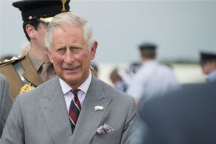 查尔斯王子姓什么,查尔斯顿