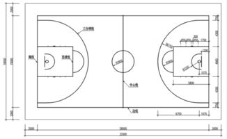 标准篮球场的尺寸及图？