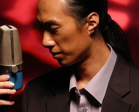 男低音歌手流行歌曲