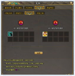 58同城里技能交换是什么意思