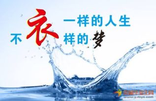 搜集5条广告语（有创意的）