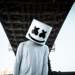 marsh harrier,marsh king