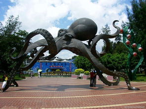 厦门小鱼网,厦门小鱼号酸菜鱼