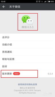 微信小程序入口在哪里呀？