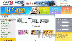 广州视窗文化传媒股份有限公司怎么样？