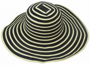 hat是什么意思译