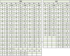标准运动鞋码是多大