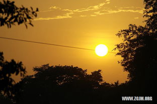 女人梦见狗咬脚好不好呢