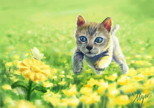 小动物包括哪些动物