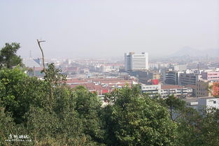 余姚论坛关注余姚城际列车通了吗