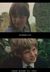 爱情电影有哪些,关于爱情的电影推荐