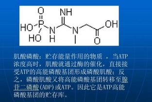 化学中cp是什么的缩写，dhcp是什么的缩写