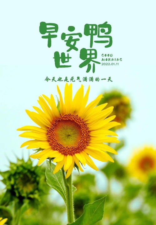 早上好的说说 正能量