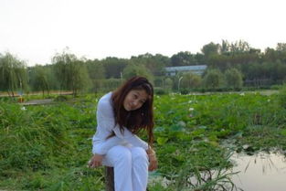 释然是什么意思解释,无法释然是什么意思