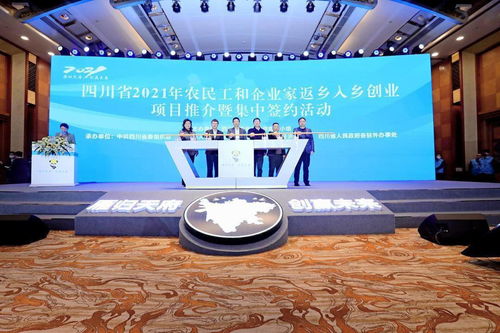 创业最好做的项目是什么？