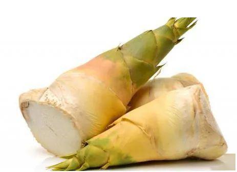 中考的特殊班型有哪些？