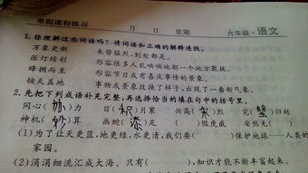 描写什么的词语