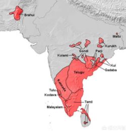 印度人属于哪种人种？