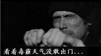 洋葱新闻的历史