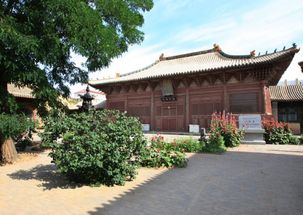 云林寺在哪里