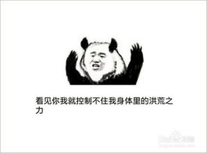 洪荒之力是什么意思