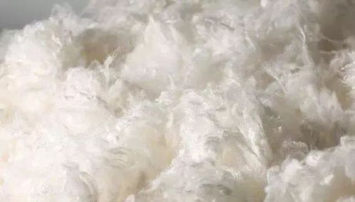 粘胶纤维是什么材质