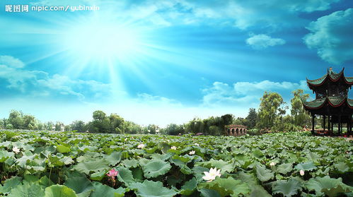 720P 1080p 超清 高清 全高清的区别