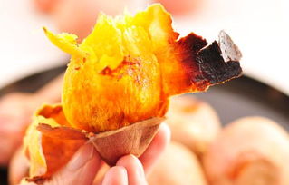 国家为什么不建议使用微波炉