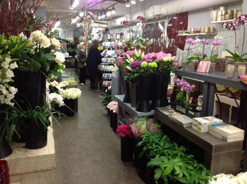 怎么开一家花店？