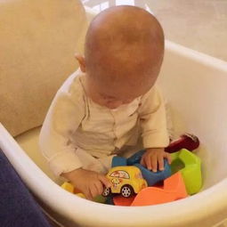 毛菇小象跟网红有什么关系