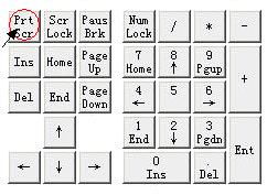 电脑截图快捷键ctrl加什么