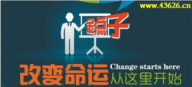 赚钱点子105种赚钱的好点子