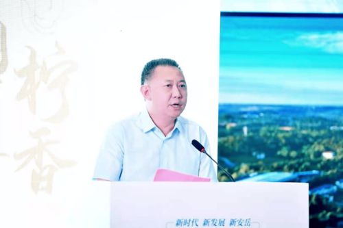 安岳做网站好多钱？内江火龙果科技公司他们是做网