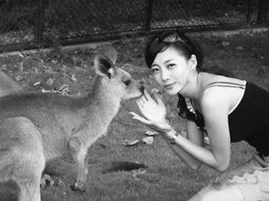 王紫菲 11月的奥巴马女郎 到底是个什么事件