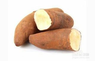 雪莲果怎么保存才不容易坏呀