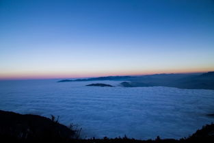 什么是地陪导游？