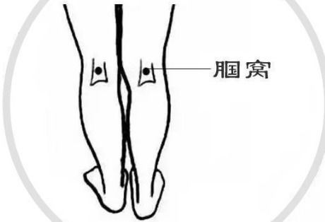 腘怎么读什么意思