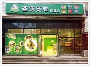 开宠物店投资多少钱,现在开宠物店赚钱吗