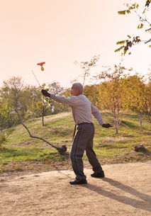 拍砖是什么意思