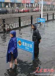 趟浑水是什么意思？