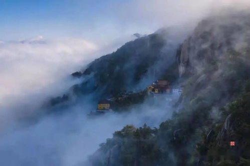 泉峰控股,泉峰汽车