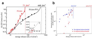 acrylamide什么意思