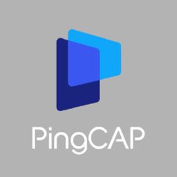 pingcap 估值,pingcap cto