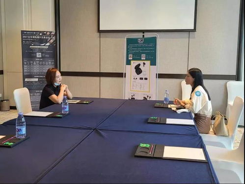 巴西有哪些品牌表？