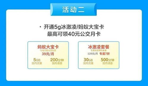 联通蚂蚁大宝卡套餐资费？