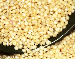 高粱米怎么吃法大全