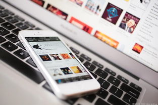 苹果开发者网站 无法验证身份,苹果开发者网站打不开