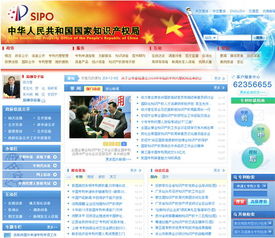 中国专利查询网站,中国专利局官方网查询